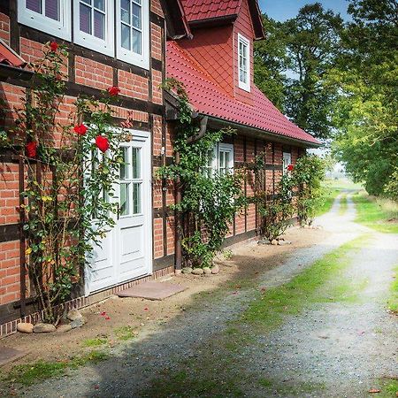 Landhaus Elbeflair Apartment Bei Doemitz Lenzerwische Exterior foto