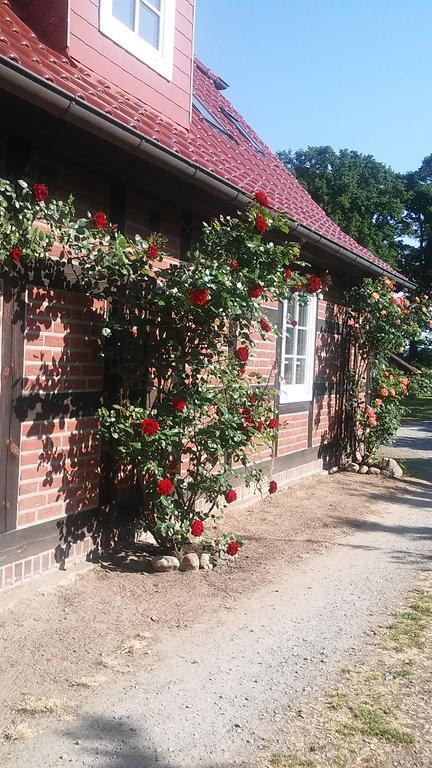 Landhaus Elbeflair Apartment Bei Doemitz Lenzerwische Exterior foto